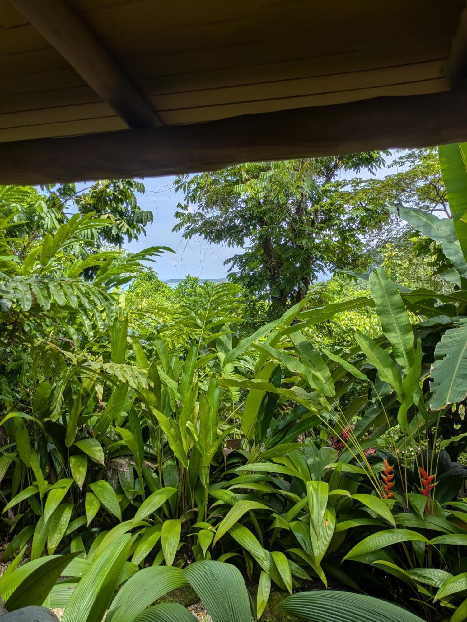 La Cusinga Lodge Uvita Kültér fotó